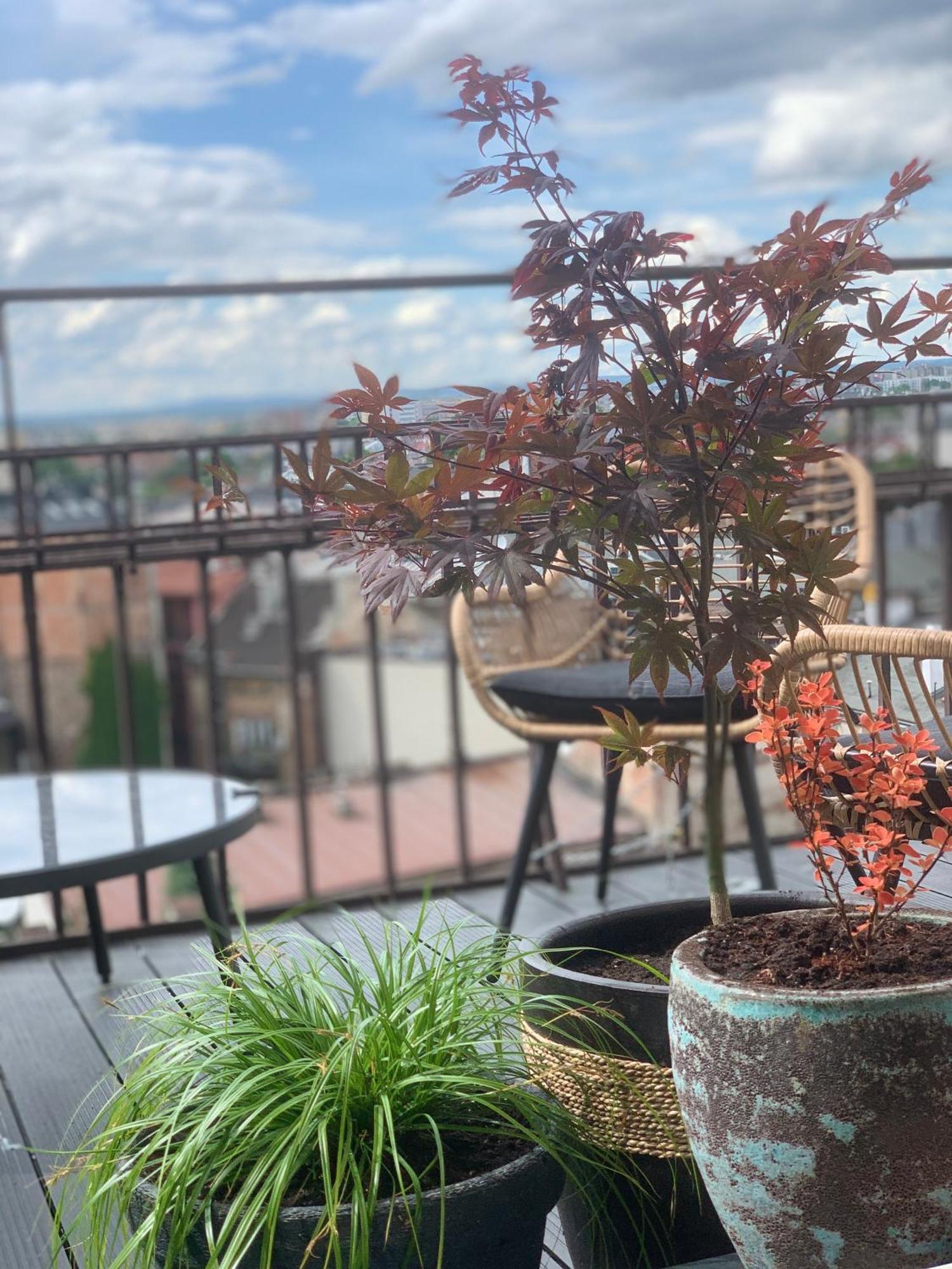 Loft21 Apartment Красков Екстериор снимка